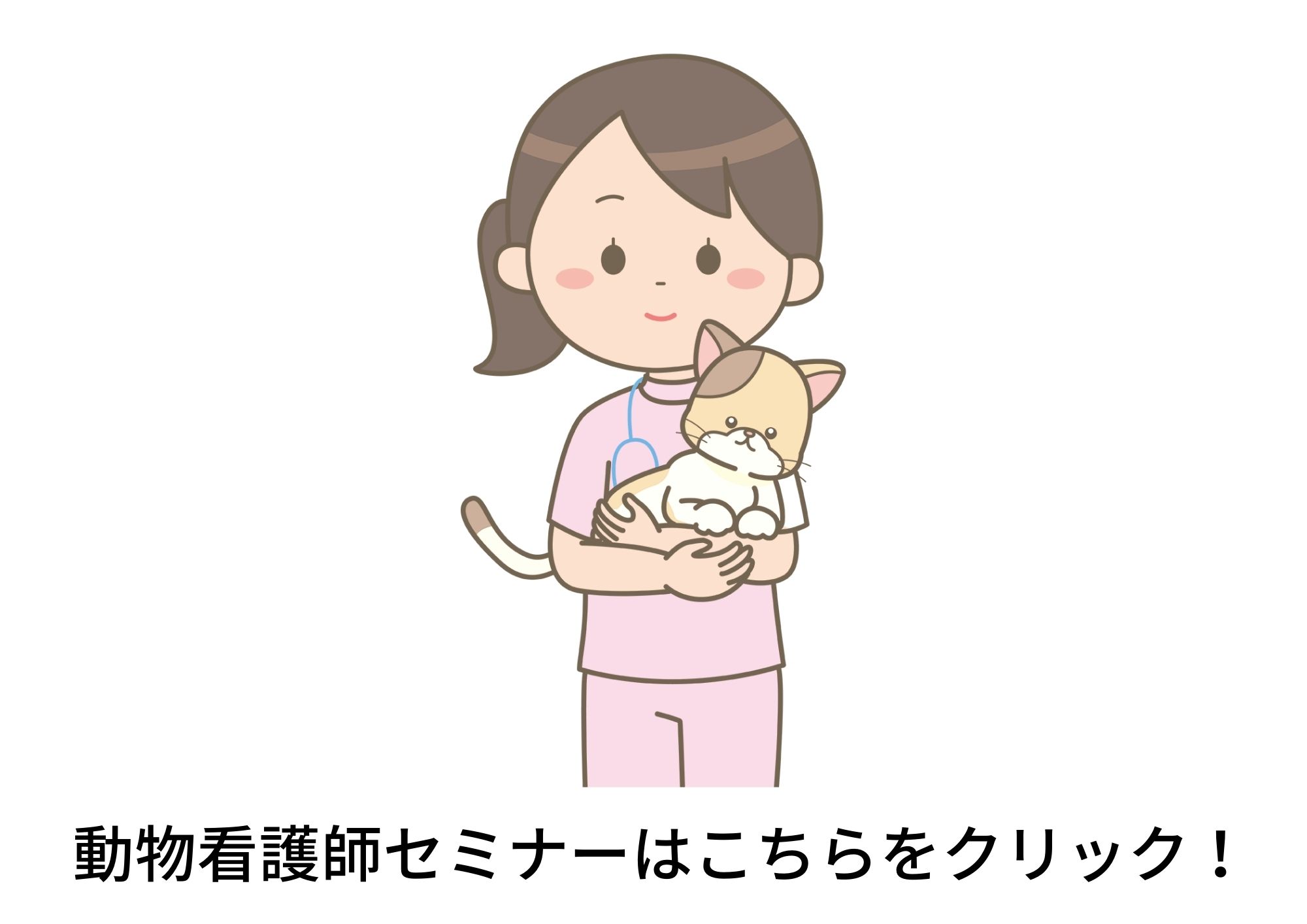 Animal Nurse